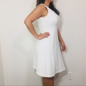 Conservative Calvin Klein dress